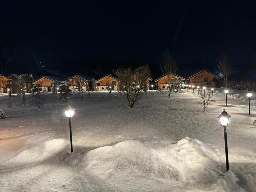 Complex Bosco Hotell Borşa Eksteriør bilde